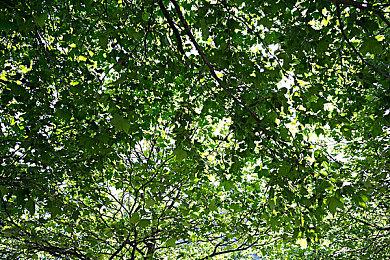 《模拟农场22》销量破600万 历时两年半